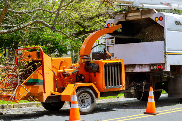 Brighton, AL Tree Services Company